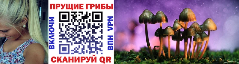mega онион  закладка  Черноголовка  Псилоцибиновые грибы Magic Shrooms 
